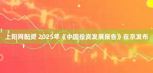 上阳网配资 2025年《中国投资发展报告》在京发布