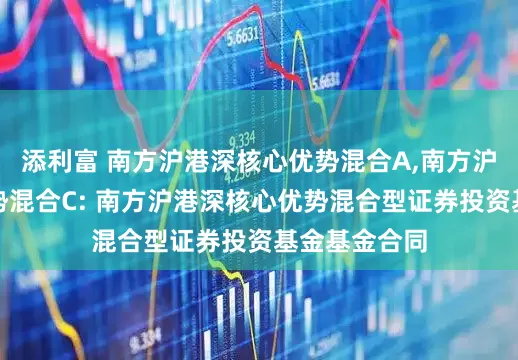 添利富 南方沪港深核心优势混合A,南方沪港深核心优势混合C: 南方沪港深核心优势混合型证券投资基金基金合同