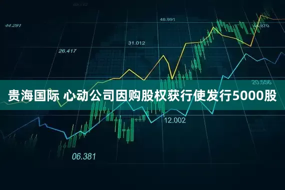 贵海国际 心动公司因购股权获行使发行5000股