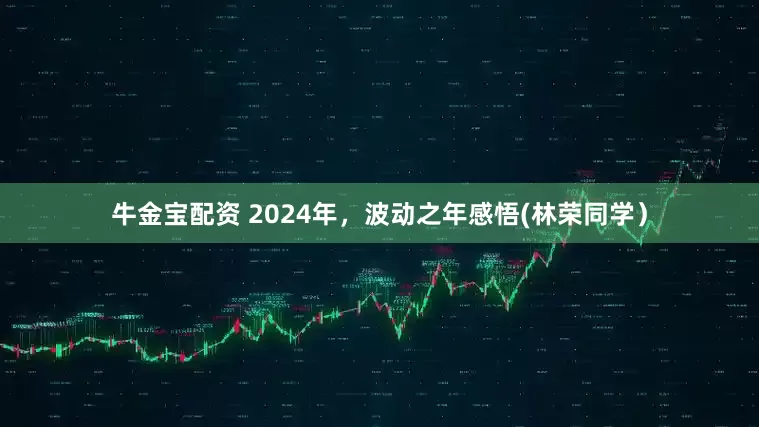 牛金宝配资 2024年，波动之年感悟(林荣同学）