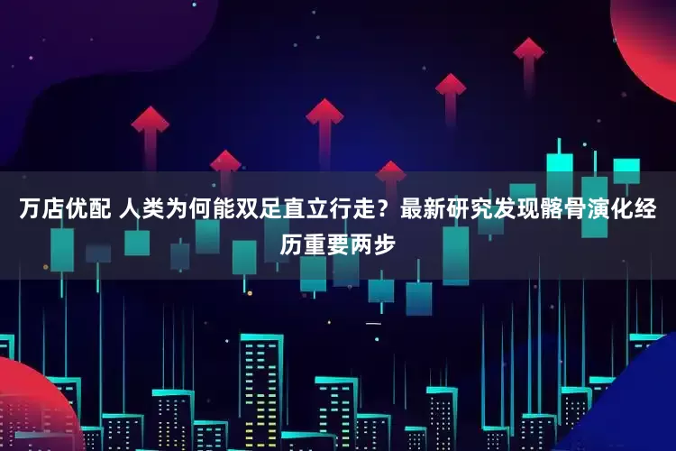 万店优配 人类为何能双足直立行走？最新研究发现髂骨演化经历重要两步