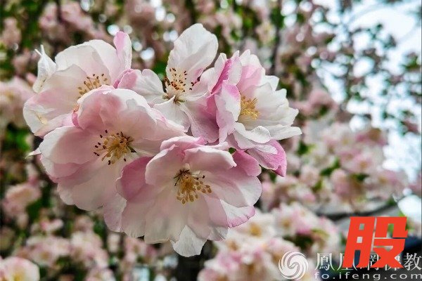 图片来源：网佛教文化 摄影：十愿