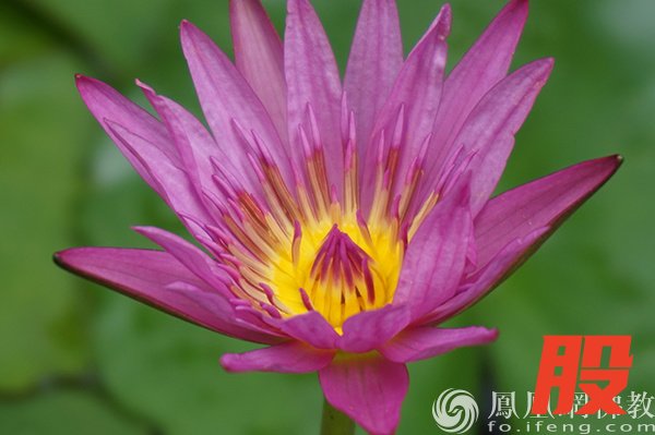 图片来源：网佛教文化 摄影：闫秀勇